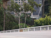 Enlarge photo 29