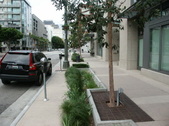 Enlarge photo 25