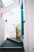 Enlarge photo 37