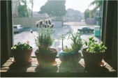 Enlarge photo 52