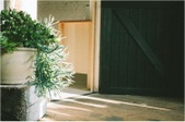 Enlarge photo 54