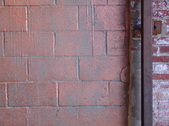 Enlarge photo 43