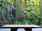 Enlarge photo 33