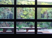 Enlarge photo 73