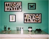 Enlarge photo 36