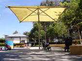 Enlarge photo 38