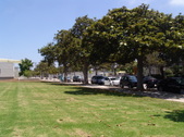 Enlarge photo 30