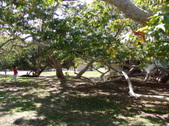 Enlarge photo 1