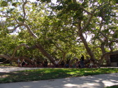 Enlarge photo 16