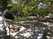 Enlarge photo 38