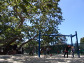 Enlarge photo 43