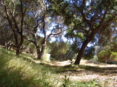 TEMESCAL GATEWAY PARK