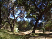 Enlarge photo 15