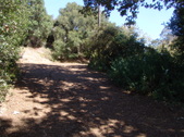 Enlarge photo 25