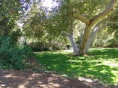 Enlarge photo 26