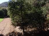 Enlarge photo 28