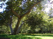 Enlarge photo 29