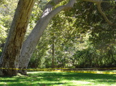 Enlarge photo 30