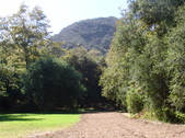 Enlarge photo 31