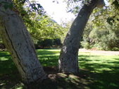 Enlarge photo 32