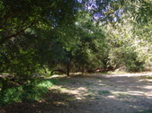 Enlarge photo 33