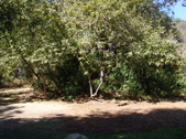 Enlarge photo 34