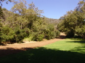 Enlarge photo 35