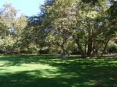 Enlarge photo 36