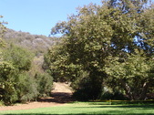 Enlarge photo 37