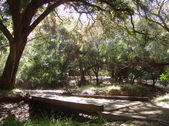 Enlarge photo 38