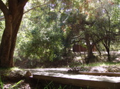 Enlarge photo 39