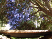 Enlarge photo 40