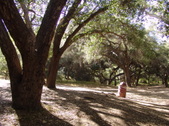 Enlarge photo 41