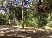 Enlarge photo 42