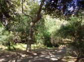 Enlarge photo 43