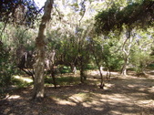Enlarge photo 44