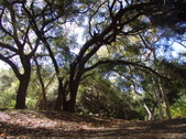 Enlarge photo 45