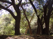 Enlarge photo 46