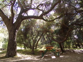 Enlarge photo 47