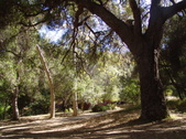 Enlarge photo 48