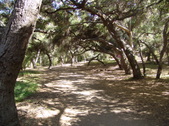 Enlarge photo 49