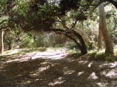Enlarge photo 50