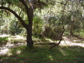 Enlarge photo 51