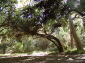 Enlarge photo 53