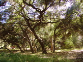 Enlarge photo 54