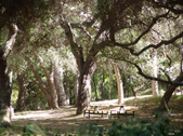 Enlarge photo 55