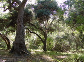 Enlarge photo 56