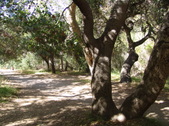 Enlarge photo 57