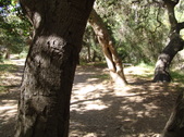 Enlarge photo 58