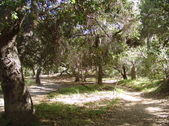 Enlarge photo 59